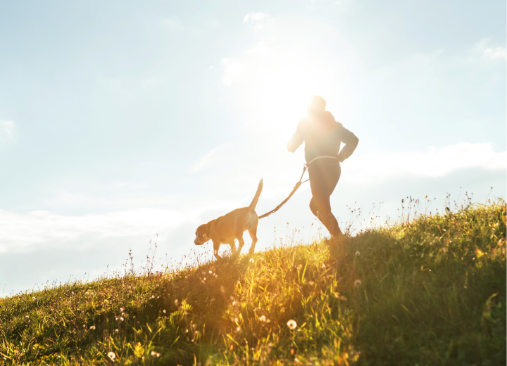 【ペットの防災対策】福岡で災害に備える